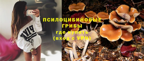 трава Волоколамск